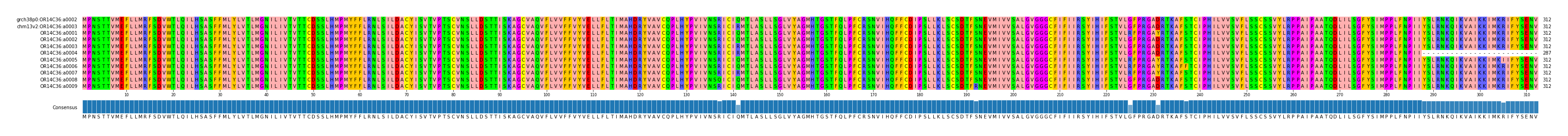 Multiple Alignments (by translate haplotype frequency)