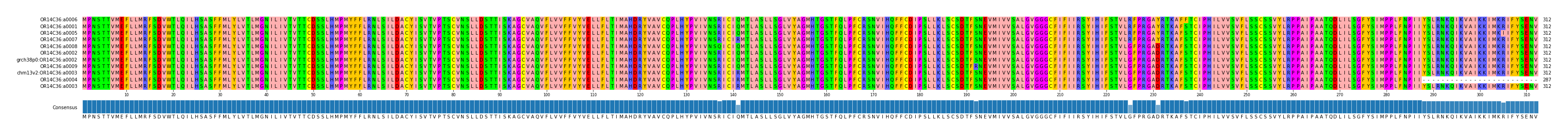 Multiple Alignments (by translate haplotype similarity)