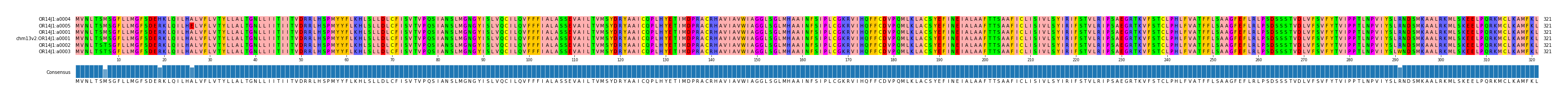 Multiple Alignments (by translate haplotype similarity)