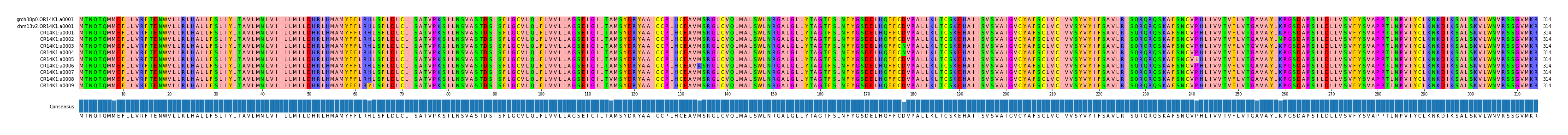 Multiple Alignments (by translate haplotype frequency)