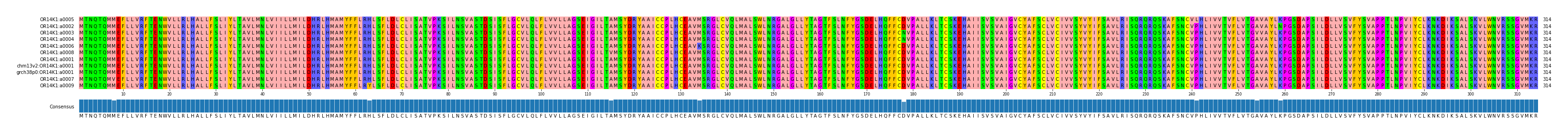 Multiple Alignments (by translate haplotype similarity)