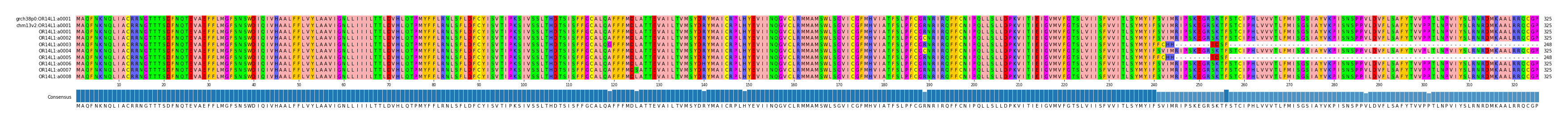 Multiple Alignments (by translate haplotype frequency)