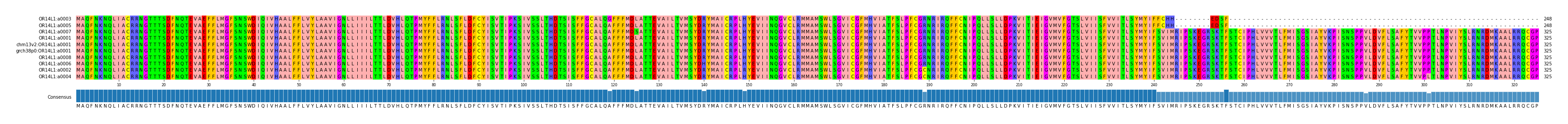 Multiple Alignments (by translate haplotype similarity)