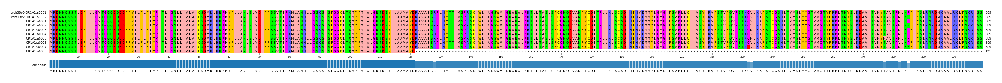 Multiple Alignments (by translate haplotype frequency)