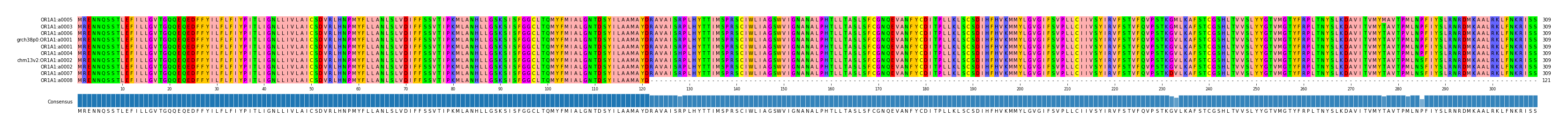 Multiple Alignments (by translate haplotype similarity)
