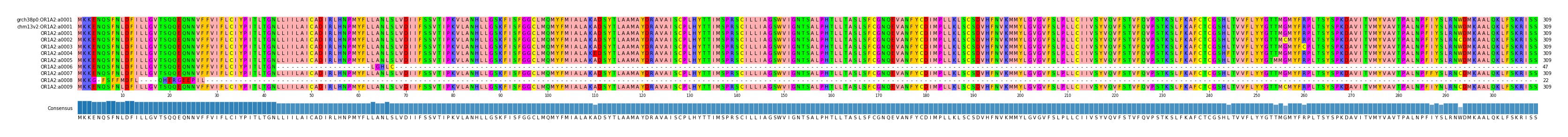 Multiple Alignments (by translate haplotype frequency)