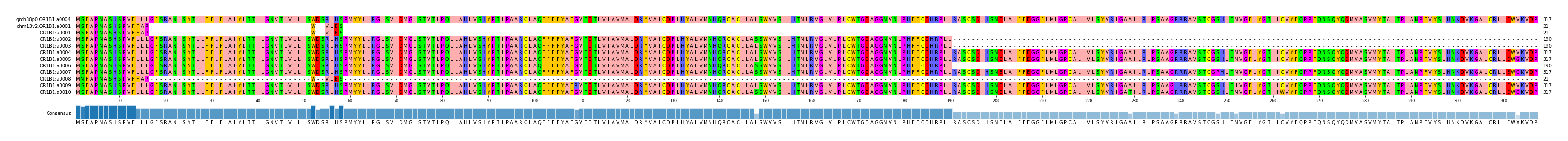 Multiple Alignments (by translate haplotype frequency)