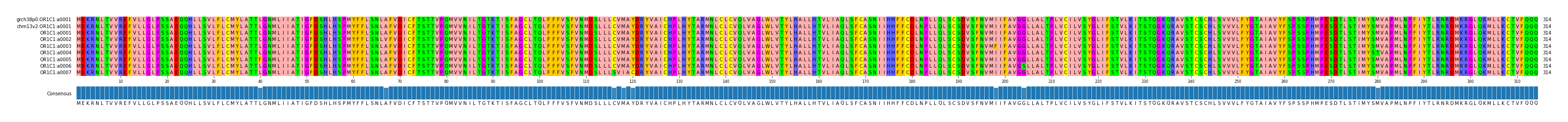 Multiple Alignments (by translate haplotype frequency)