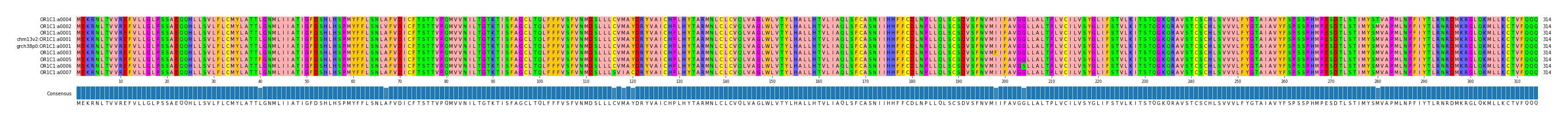 Multiple Alignments (by translate haplotype similarity)