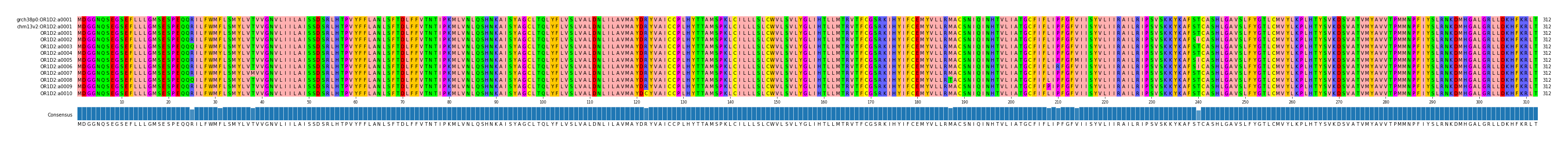Multiple Alignments (by translate haplotype frequency)
