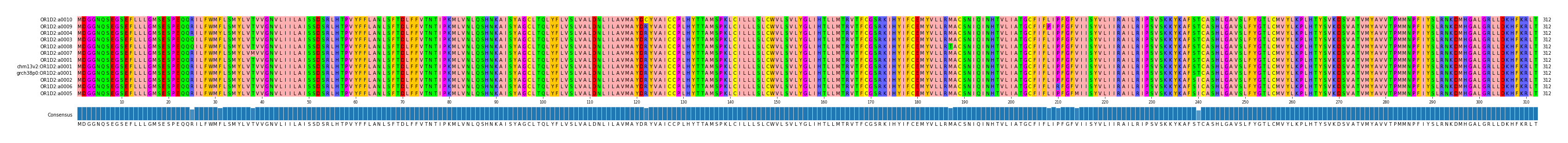 Multiple Alignments (by translate haplotype similarity)