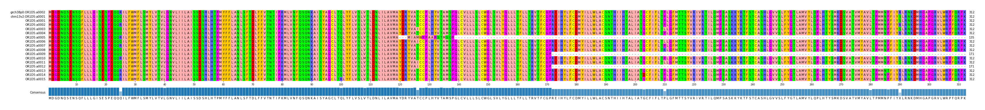 Multiple Alignments (by translate haplotype frequency)
