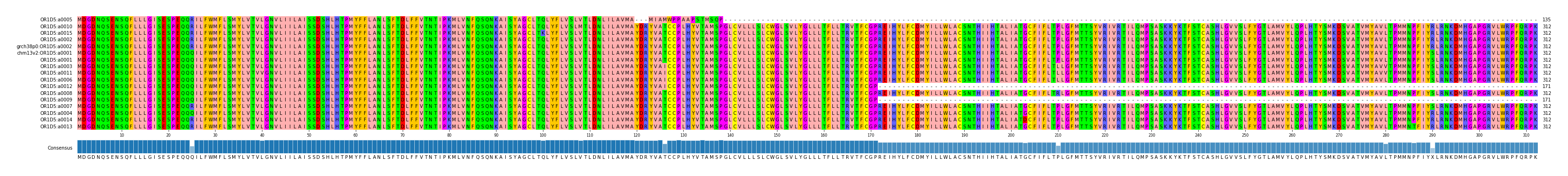 Multiple Alignments (by translate haplotype similarity)