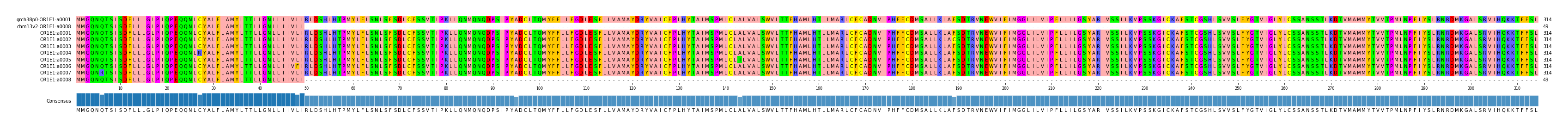Multiple Alignments (by translate haplotype frequency)