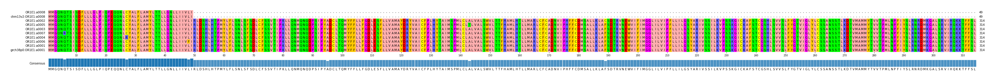 Multiple Alignments (by translate haplotype similarity)