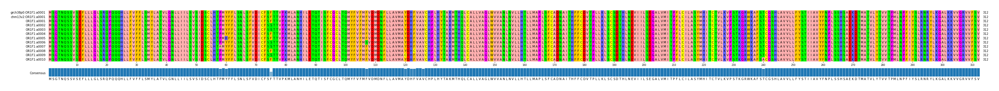 Multiple Alignments (by translate haplotype frequency)