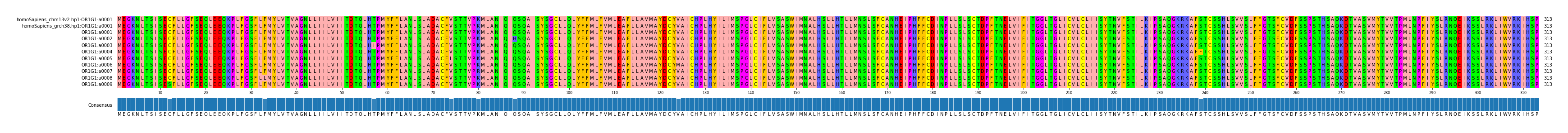 Multiple Alignments (by translate haplotype frequency)