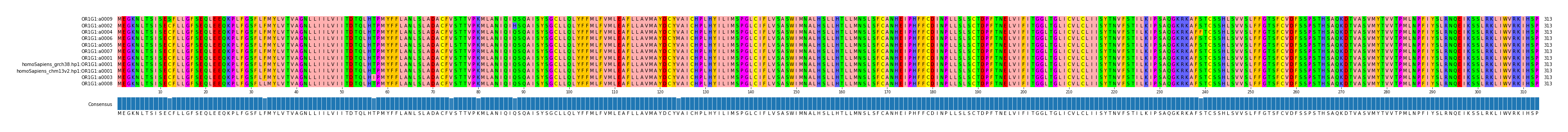 Multiple Alignments (by translate haplotype similarity)