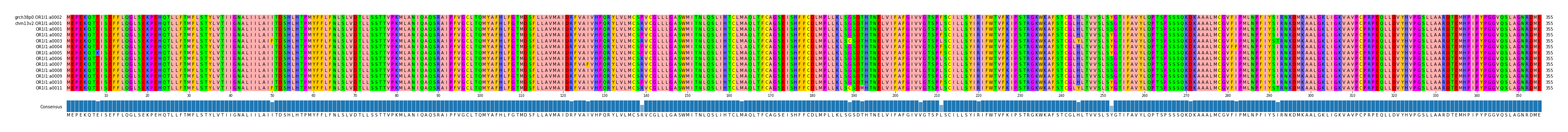Multiple Alignments (by translate haplotype frequency)