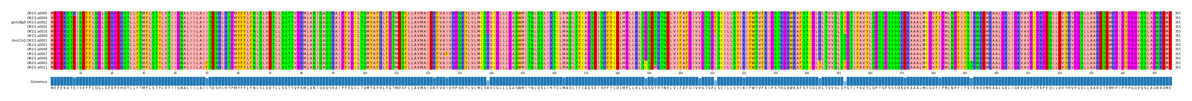 Multiple Alignments (by translate haplotype similarity)