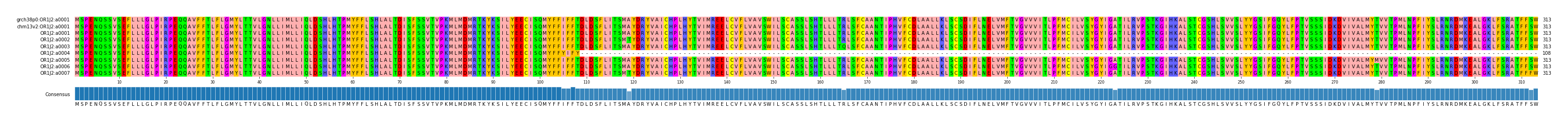 Multiple Alignments (by translate haplotype frequency)