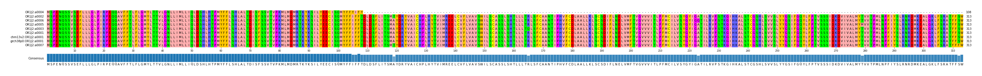 Multiple Alignments (by translate haplotype similarity)
