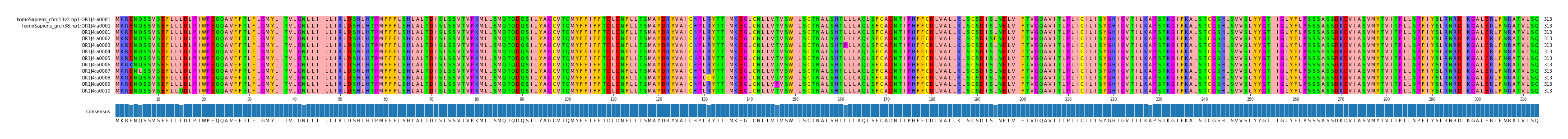 Multiple Alignments (by translate haplotype frequency)