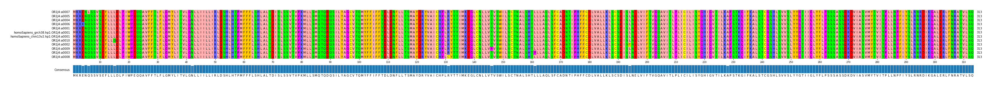 Multiple Alignments (by translate haplotype similarity)