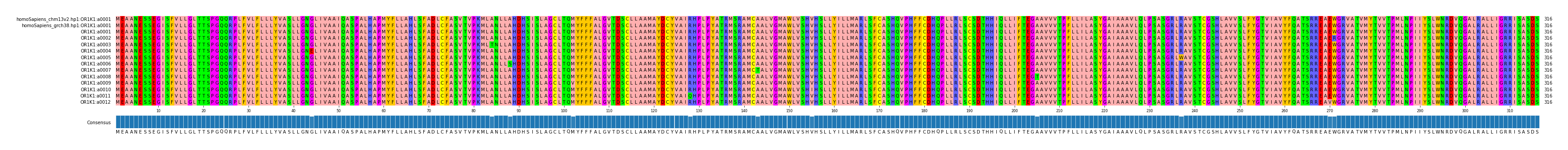 Multiple Alignments (by translate haplotype frequency)
