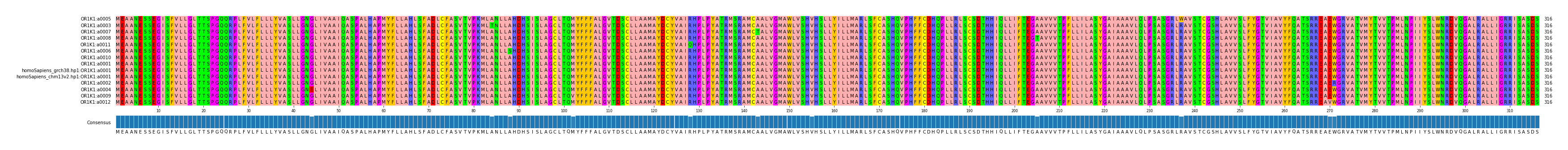 Multiple Alignments (by translate haplotype similarity)