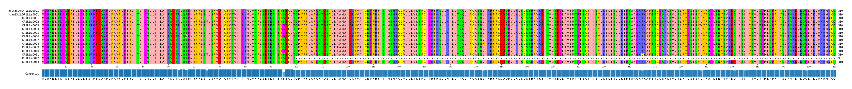 Multiple Alignments (by translate haplotype frequency)
