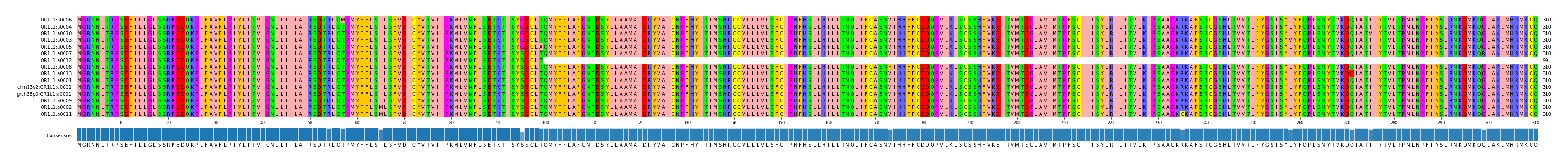 Multiple Alignments (by translate haplotype similarity)