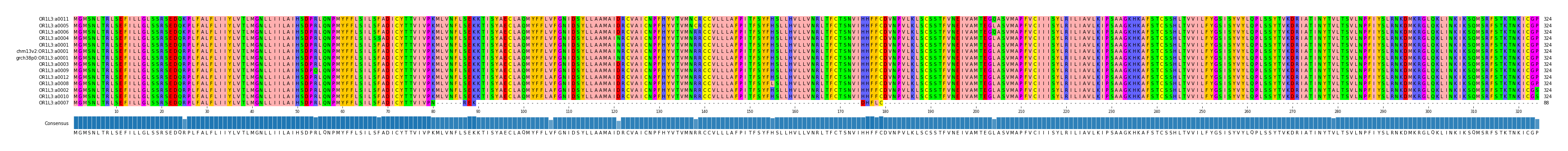 Multiple Alignments (by translate haplotype similarity)