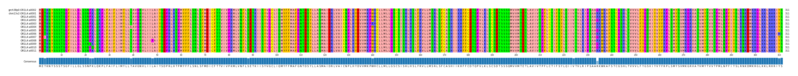 Multiple Alignments (by translate haplotype frequency)