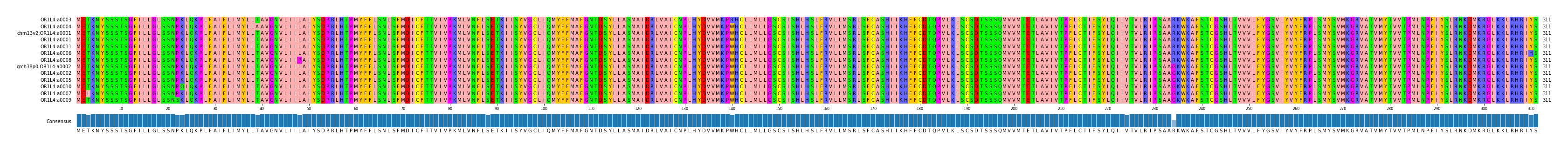 Multiple Alignments (by translate haplotype similarity)