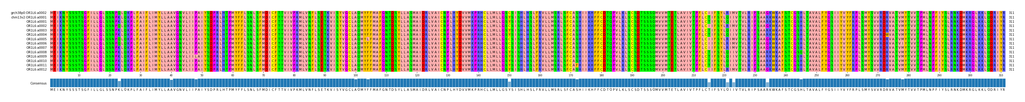 Multiple Alignments (by translate haplotype frequency)