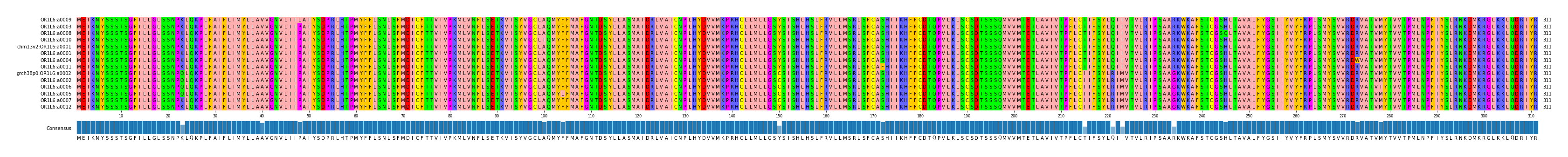 Multiple Alignments (by translate haplotype similarity)