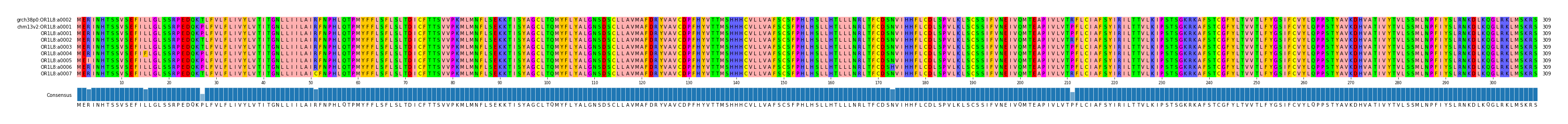 Multiple Alignments (by translate haplotype frequency)