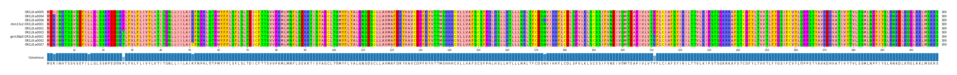 Multiple Alignments (by translate haplotype similarity)