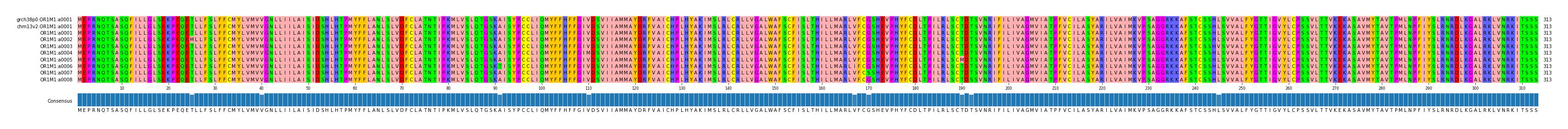 Multiple Alignments (by translate haplotype frequency)
