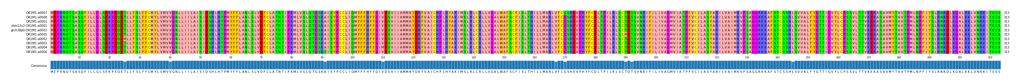 Multiple Alignments (by translate haplotype similarity)