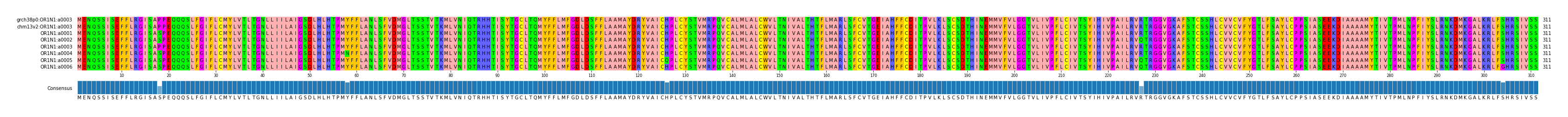 Multiple Alignments (by translate haplotype frequency)