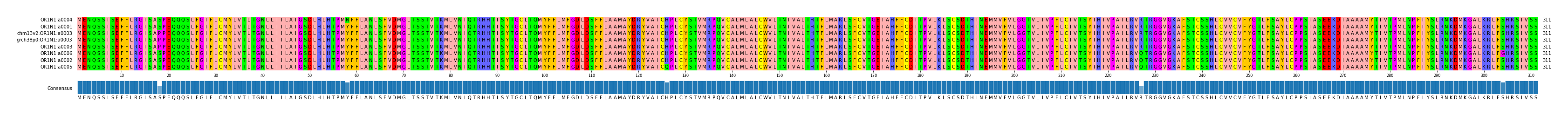 Multiple Alignments (by translate haplotype similarity)