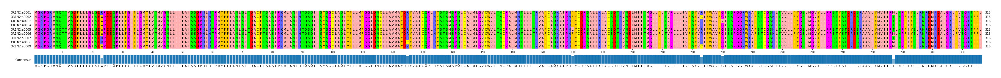 Multiple Alignments (by translate haplotype frequency)