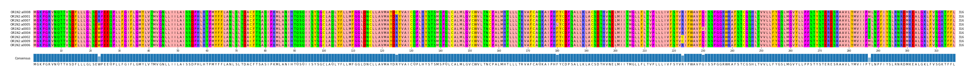Multiple Alignments (by translate haplotype similarity)