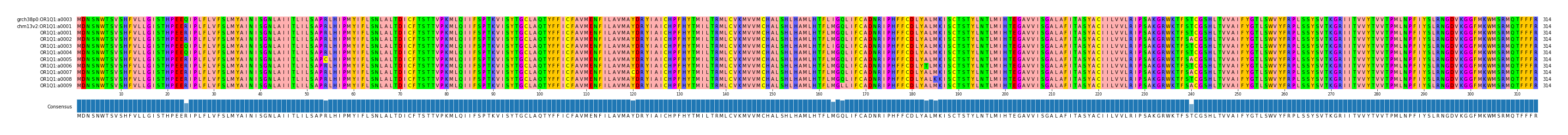 Multiple Alignments (by translate haplotype frequency)