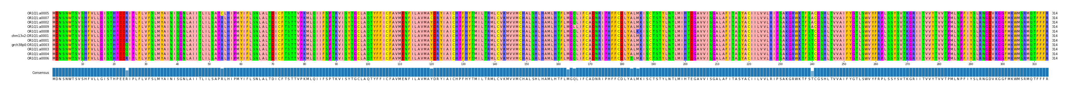 Multiple Alignments (by translate haplotype similarity)