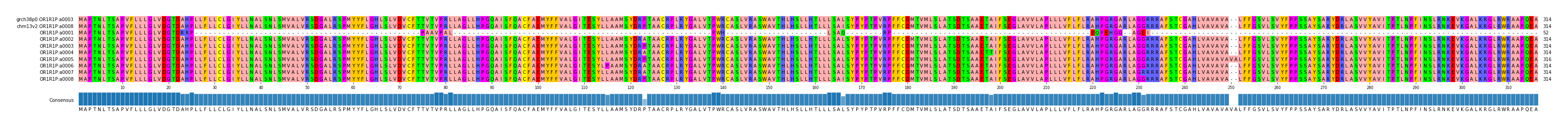 Multiple Alignments (by translate haplotype frequency)