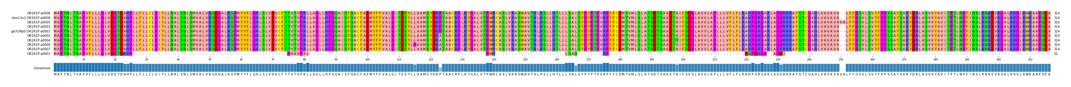 Multiple Alignments (by translate haplotype similarity)