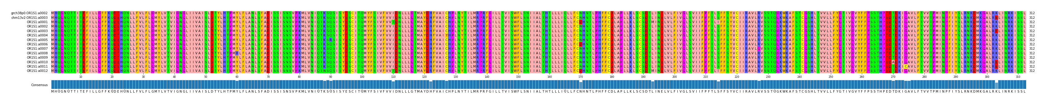 Multiple Alignments (by translate haplotype frequency)